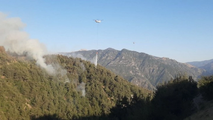 Kahramanmaraş'ta orman yangınına müdahale sürüyor