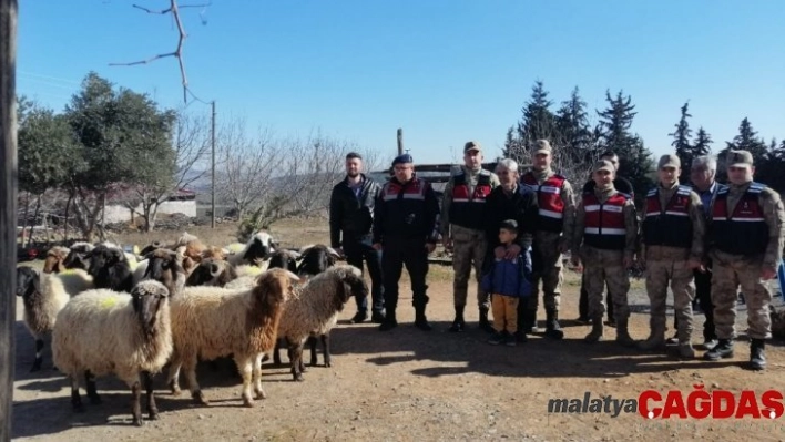 Kahramanmaraş'ta 19 küçükbaş hayvan çalan 3 kişiye adli kontrol