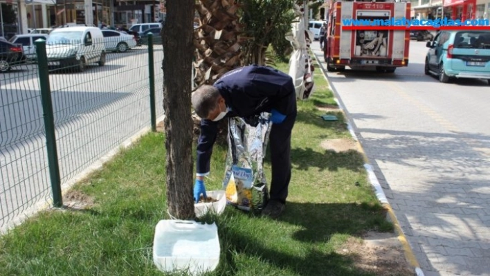 Kahta'da sokak hayvanları için mama ve su bırakılıyor