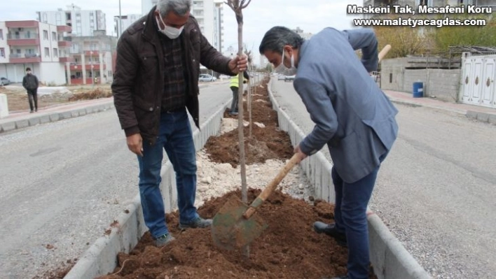 Kahta'da yeşillendirme çalışmaları devam ediyor