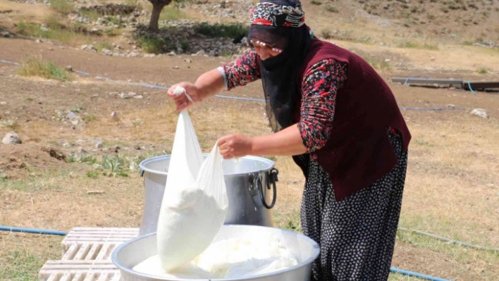 Kahvaltı sofralarına 3 bin rakımdan gelen lezzet: Erzincan tulum peyniri