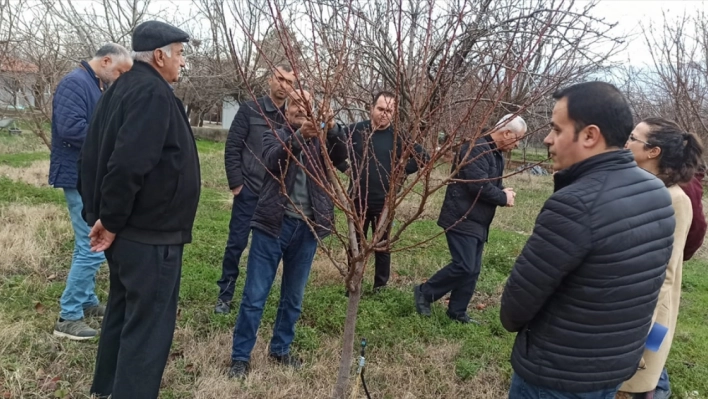 Kale'de kayısı yetiştiriciliği ve zirai mücadele eğitimi verildi