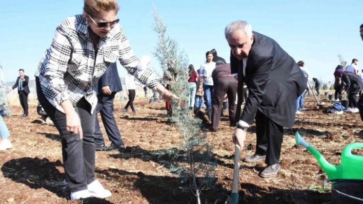 Kampüs alanına 3 yılda yaklaşık 10 bin fidan dikildi