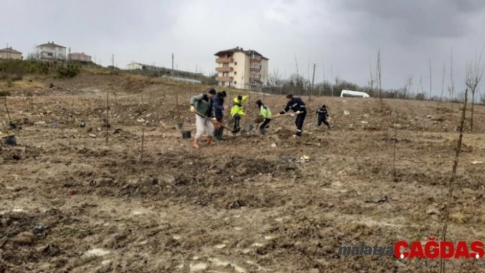 Kandıra kent ormanı ağaçlandırılıyor