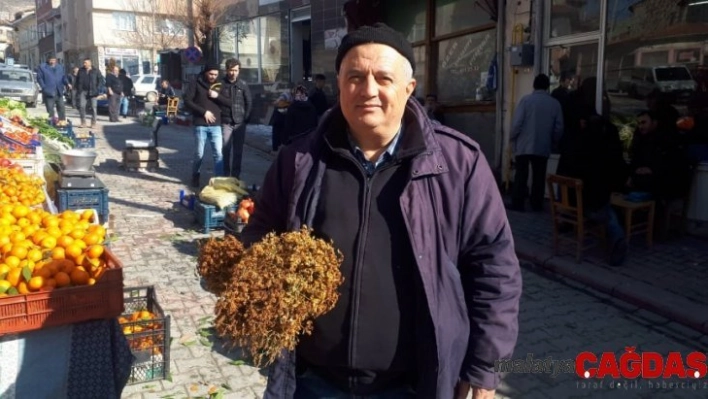 Kantaron otu pazar tezgahlarında da satılıyor