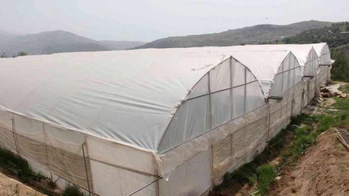 Kara kışta zarar gören seralar yeniden üretime geçti