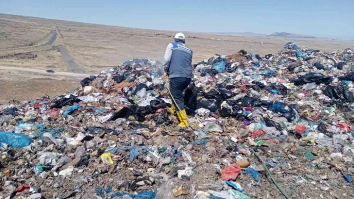 Karasinek üreme alanları ilaçlanıyor