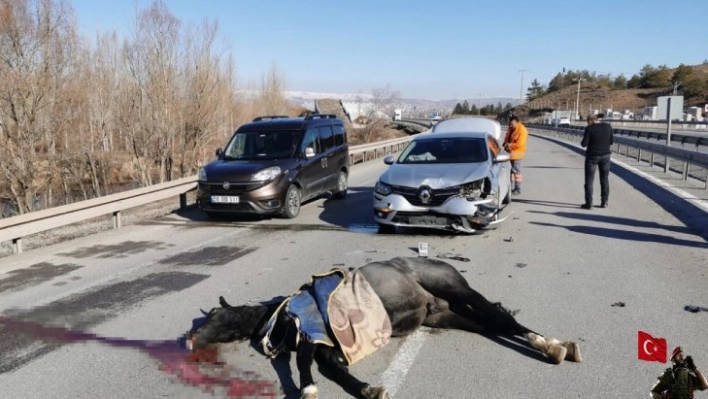 Karayoluna çıkması sonu oldu