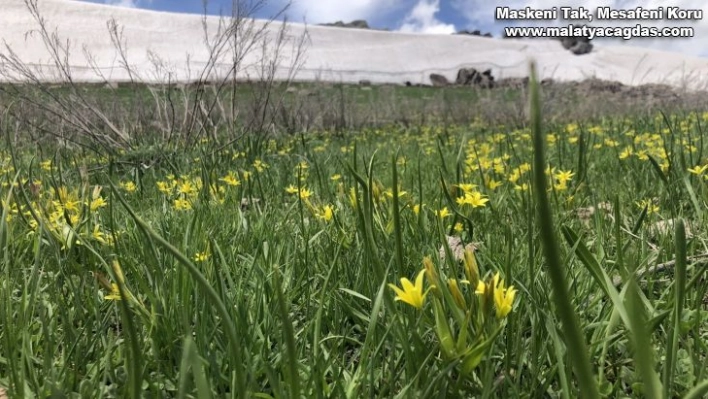 Kars'ta 5 metre yüksekliğinde kar kütlesi görenleri şaşırttı