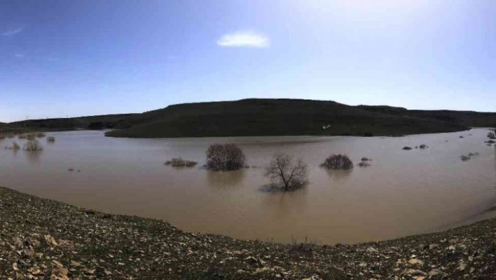 Kars'ta ağaçlar baraj suyu altında kaldı