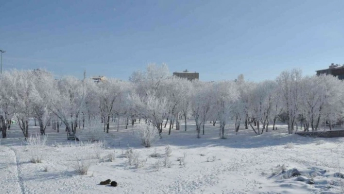 Kars'ta eksi 13'ü gördü, ağaçlar kırağı tuttu