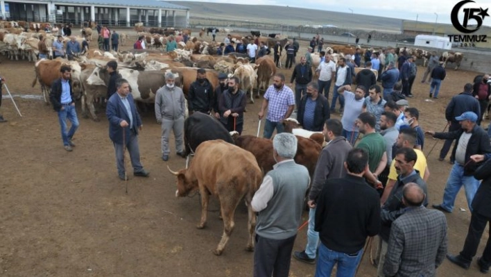 Kars'ta kuraklık kurban satışlarını olumsuz etkiledi