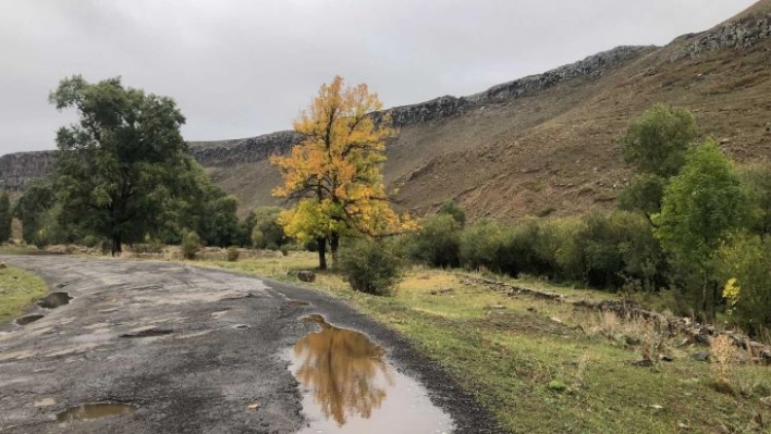 Kars'ta Sonbahar'da renk cümbüşü yaşanıyor