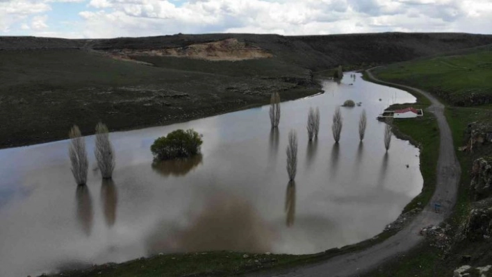 Kars'ta sular altında kalan ağaçlar havadan görüntülendi