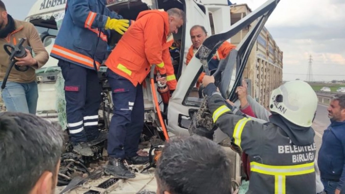 Karton gibi katlanan TIR'dan şoför yaralı kurtuldu