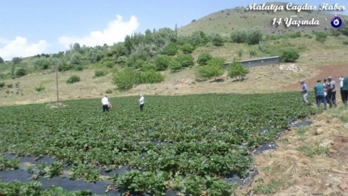 Kavurucu sıcaklara dikkat