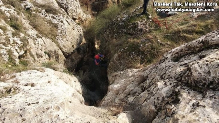 Kayaların arasında mahsur kalan 2 keçi kurtarıldı