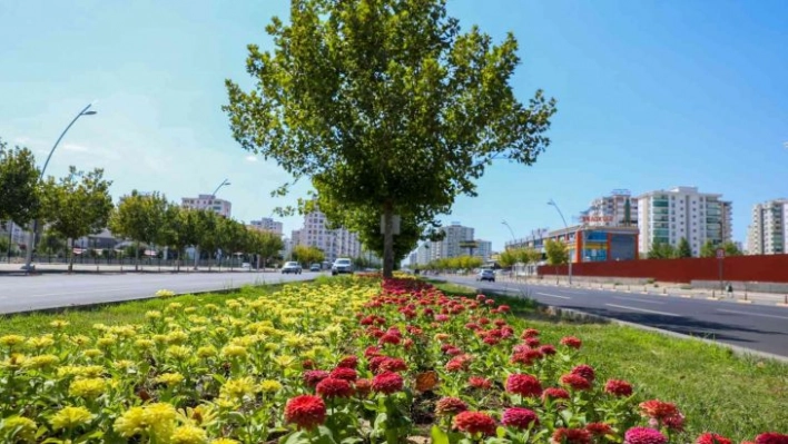 Kayapınar ilçesinde Fırat Bulvarı 75 bin 360 adet çiçekle süslendi