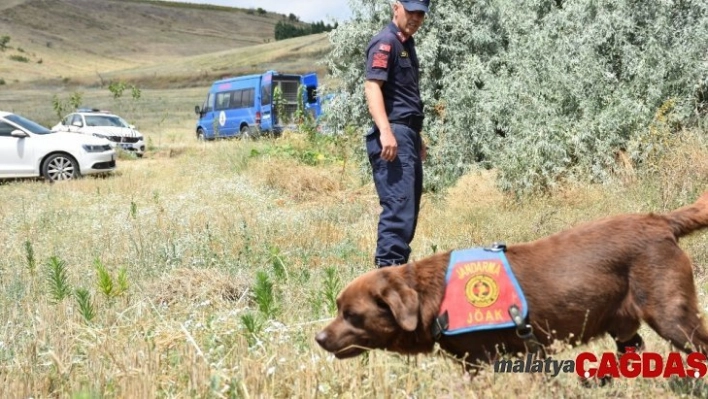 Kayıp katip kadavra ve iz takip köpekleriyle aranıyor