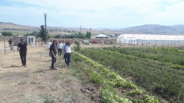 Kaymakam Nasır, yetiştirilen ürünleri inceledi