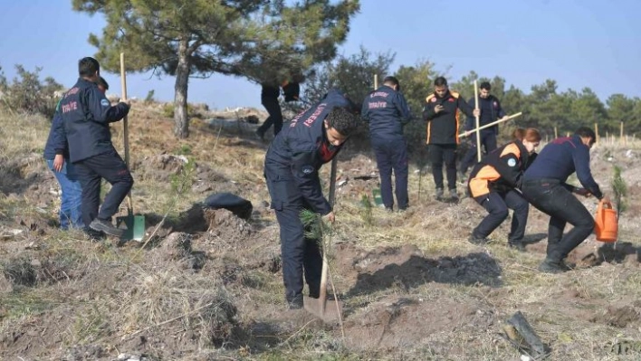 Kayseri Büyükşehir, 11.11'de 5 bin fidan ile geleceğe nefes oldu