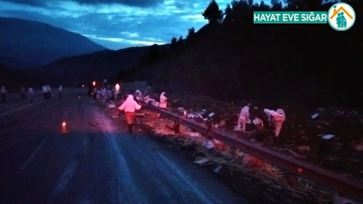 Kaza yerine kimse yaklaşamadı