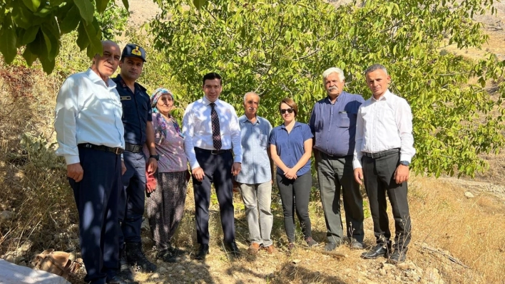 Keban Kaymakamı Atalık ceviz hasadına katıldı