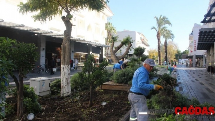 Kemer'de peyzaj çalışması