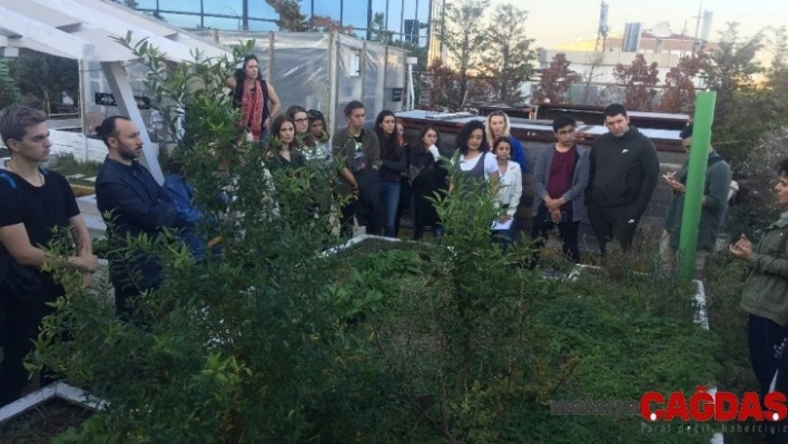 Kentsel tarım için Akmerkez ve Özyeğin Üniversitesi Gastronomi öğrencileri kolları sıvadı