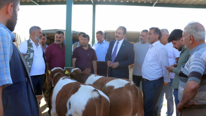 Keskin, Halkımız kurbanını marketlerde değil, yetiştiriciden ve köylüden alsın