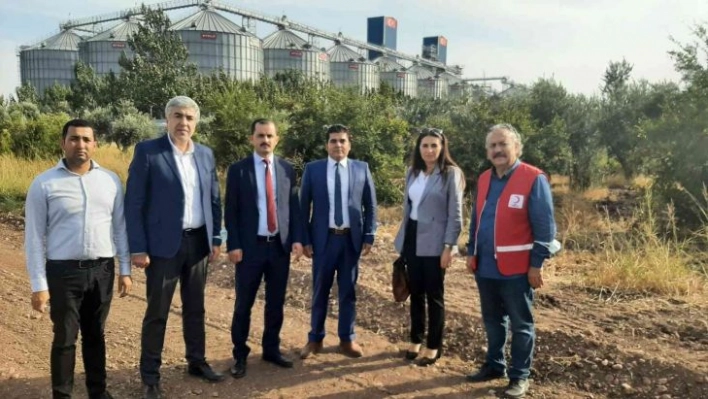 Kırıkhan Denetimli Serbestlik Müdürlüğünden Türk Kızılayına zeytin