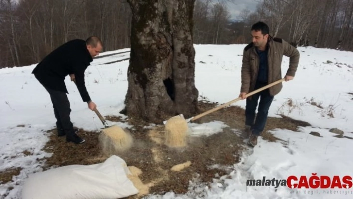 Kışın ortasında hayvanlar unutulmadı