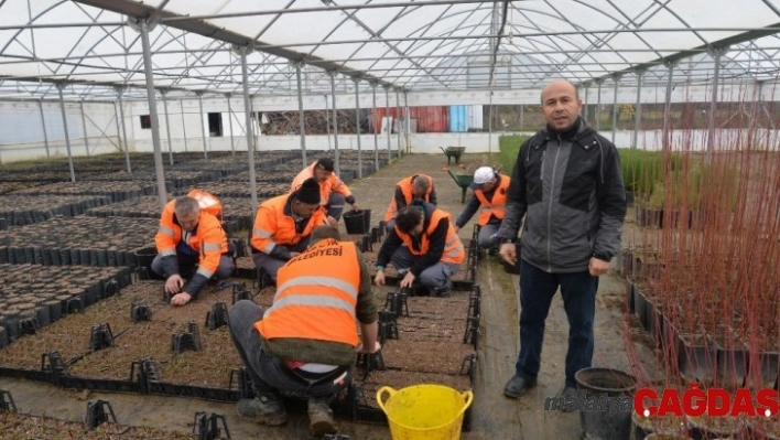 Kışın üretilen bitkiler baharda toprakla buluşuyor