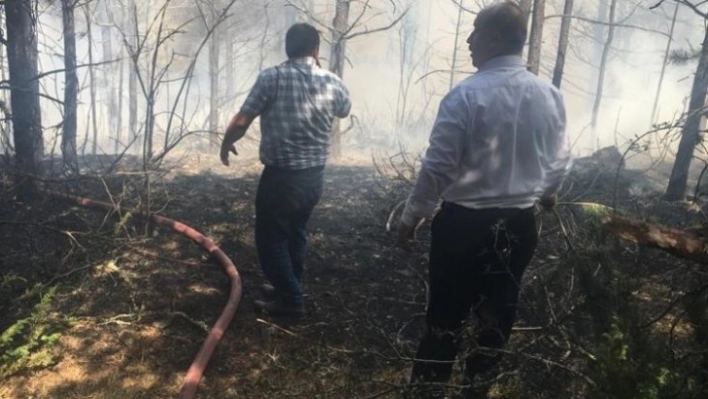 Kızılcahamam Üyücek yaylasında yangın