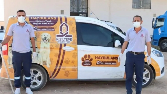 Kızıltepe'de 'Haybulans' sokak hayvanlarının imdadına koşuyor