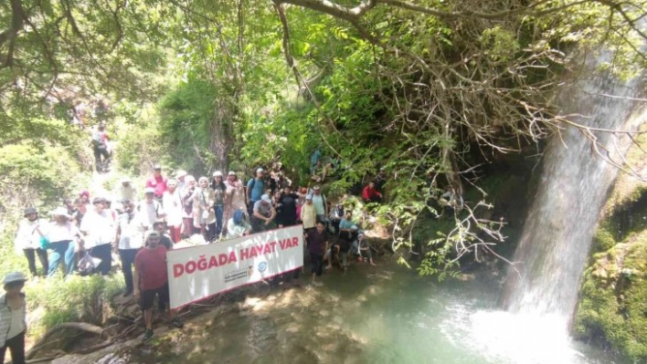 Kocabor Şelalesi'ne ziyaretçi akını