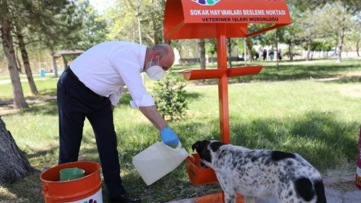 Kocasinan'da küçük dostlar için büyük hassasiyet