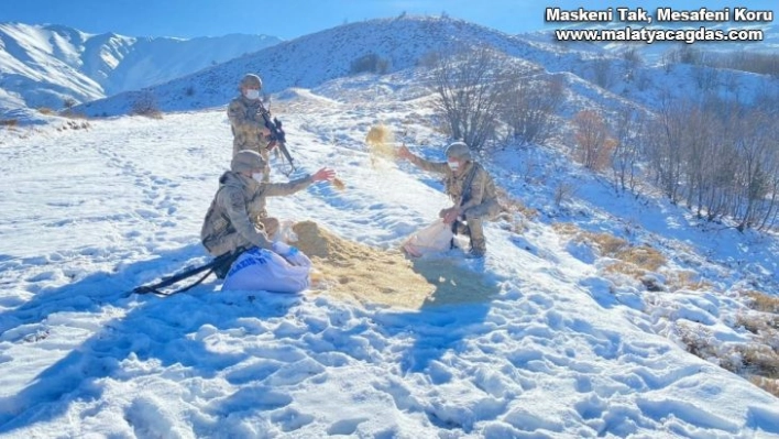 Komandolar, doğaya yem bıraktı