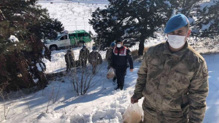 Komandolar yaban hayvanlarını unutmadı