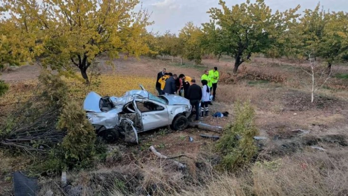 Kontrolden çıkan araç kayısı bahçesine uçtu: 1 yaralı