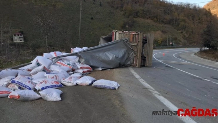 Kontrolden çıkan tır devrildi: 1 yaralı