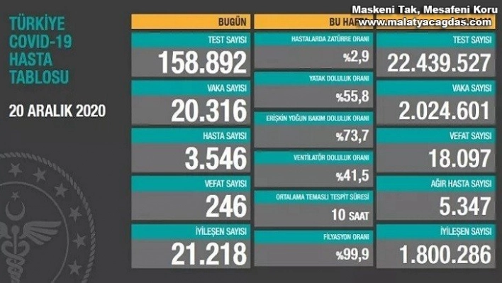 Korona virüsten 246 kişi hayatını kaybetti