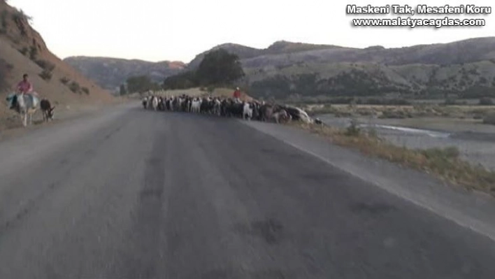 Kulp'ta göçerlerin zorlu yayla yolculuğu