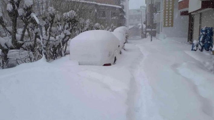 Kulp'ta kar kalınlığı 70 santimetreyi buldu