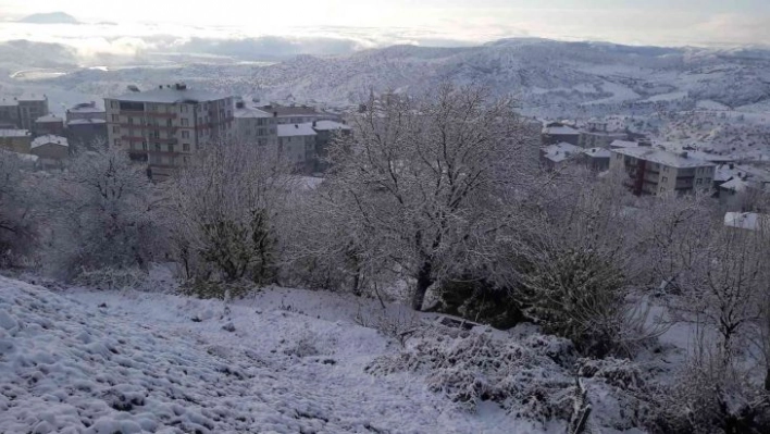 Kulp'ta mevsimin ilk karı yağışıyla eğitime 1 gün ara verildi