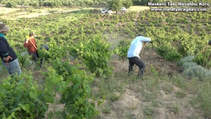 Kulp'ta yarım kalan bağ belleme dönemi yeniden başladı