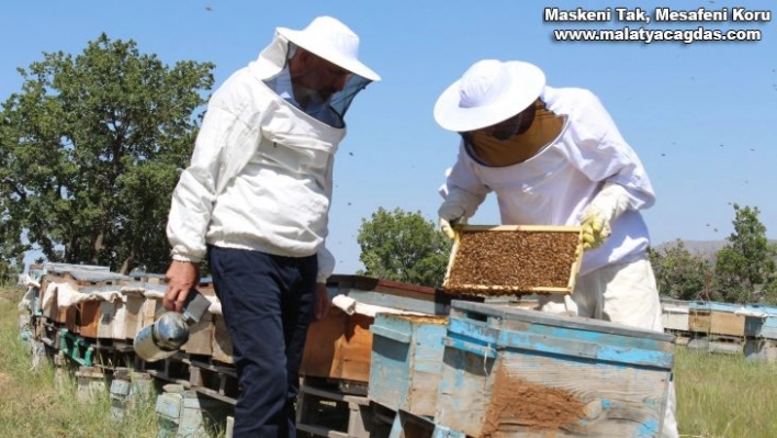 Kuraklık ve toz taşınımı arıcıları vurdu, son 10 yılın en kötü sezonu