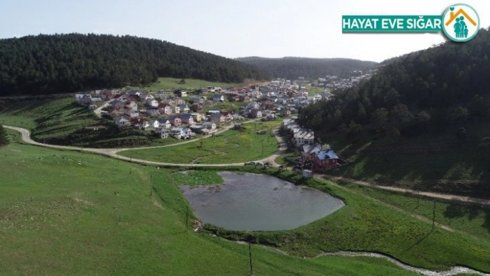 Kurbağalı Göl'den yayılan sesler tüm yaylayı kaplıyor