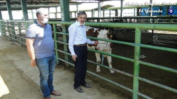 Kurban Bayramı öncesinde hayvan pazarı denetlendi