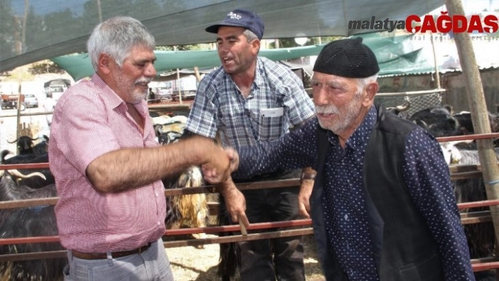 Kurban pazarında hareketlilik arttı, pazarlıklar kızıştı